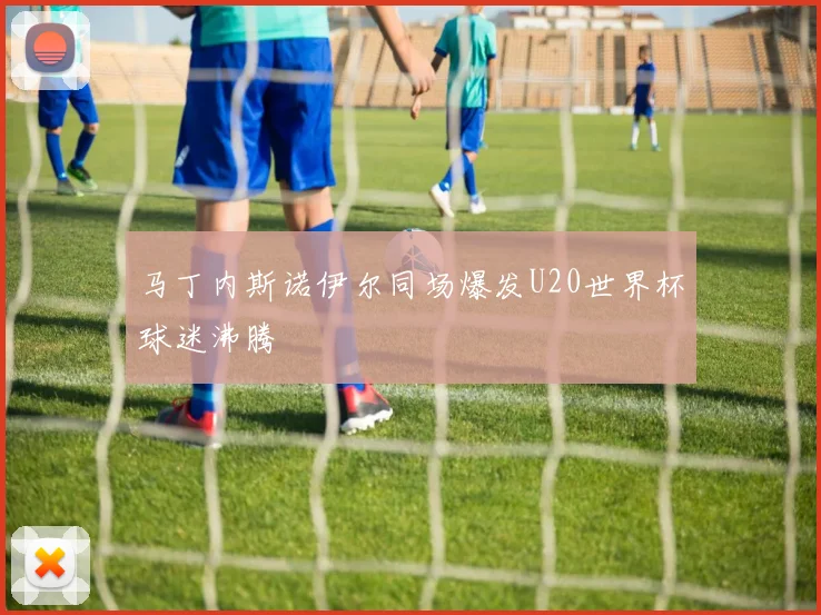 马丁内斯诺伊尔同场爆发U20世界杯球迷沸腾