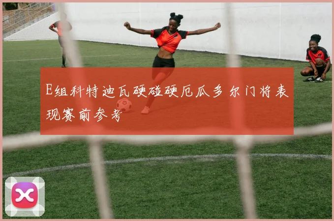 E组科特迪瓦硬碰硬厄瓜多尔门将表现赛前参考